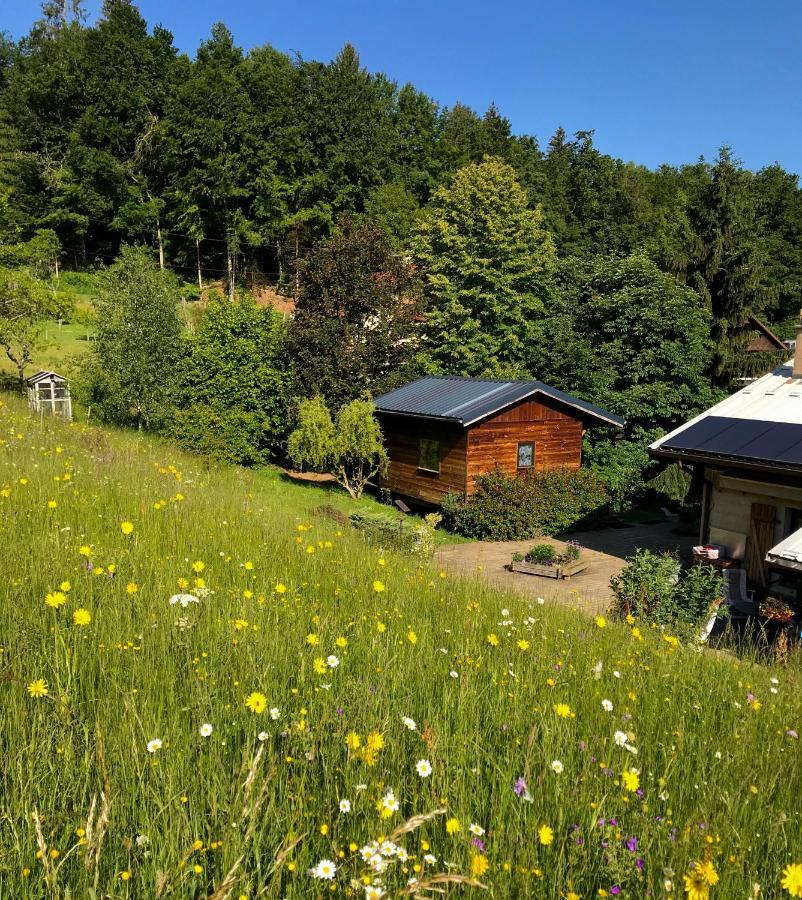 Gite Le Mazot De Vouan Saint-Andre-de-Boege Екстер'єр фото